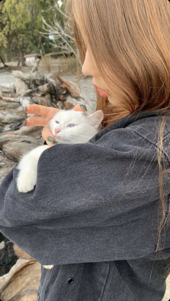 Обложка профиля