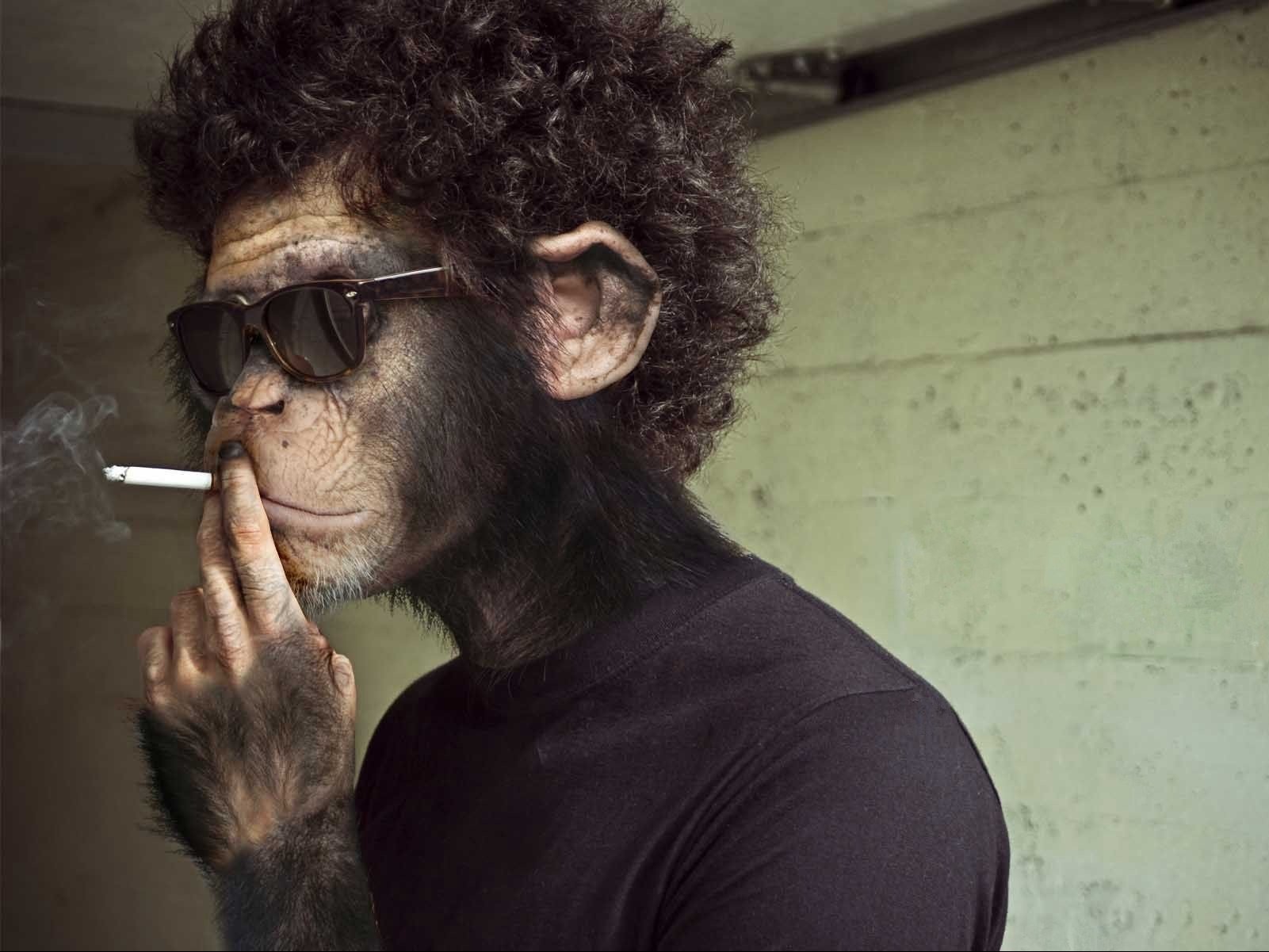 Обложка профиля