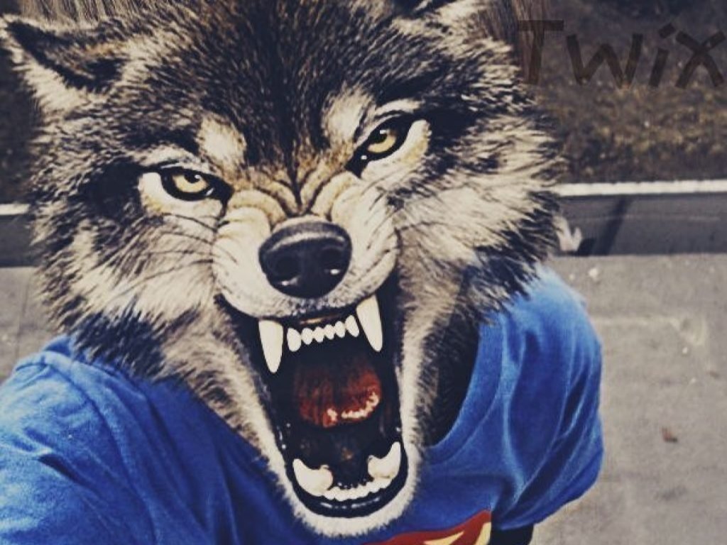 Обложка профиля