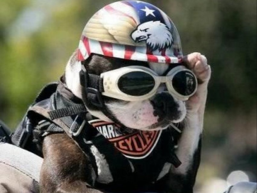 Обложка профиля