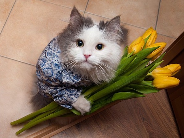 Обложка профиля
